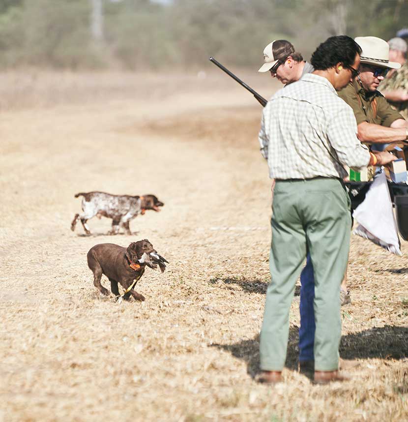 hunters dove hunting at bader ranch in hondo texas