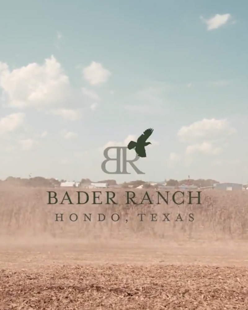 bader ranch texas dove hunting video placeholder